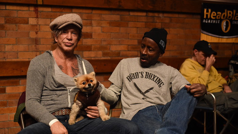 Tiger still 2