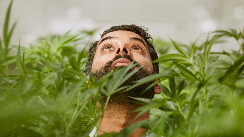 Weediquette still 1