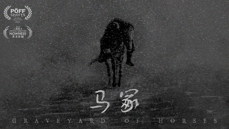 Graveyard of Horses still 1