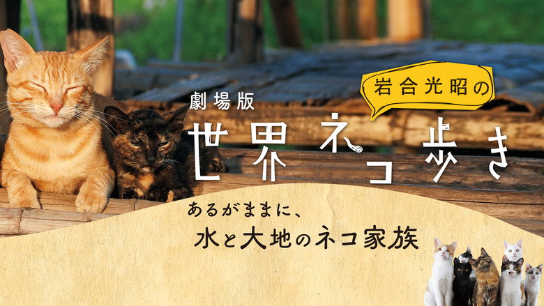 Mitsuaki Iwago's World “Cats” Travelogue still 4