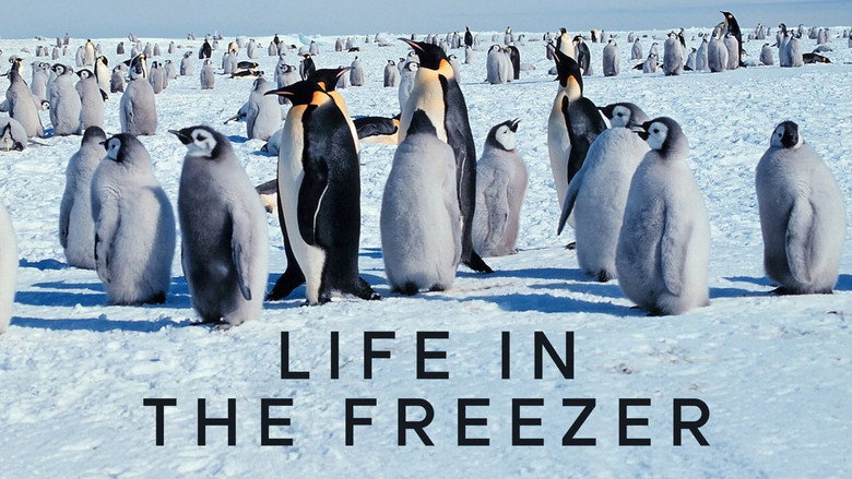 Life in the Freezer still 4
