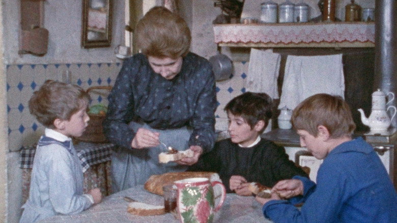 The House in the Woods still 5