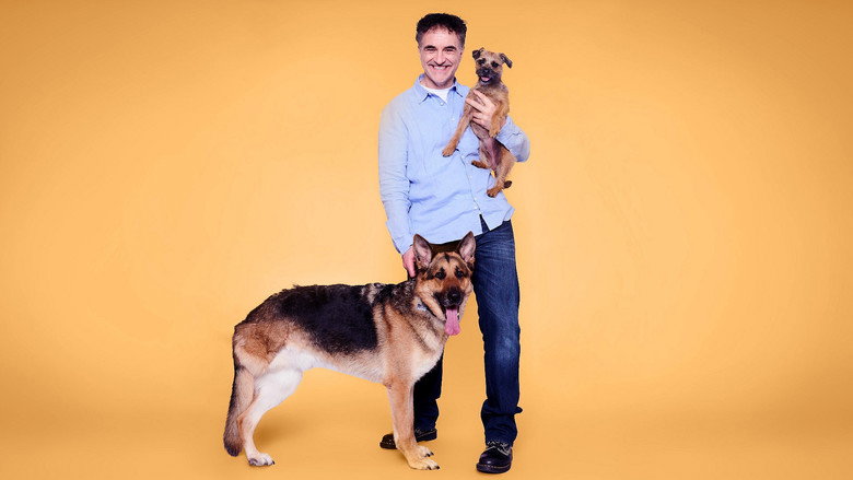 The Supervet: Noel Fitzpatrick still 4