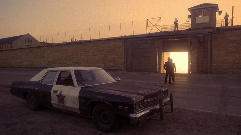 The Blues Brothers still 2
