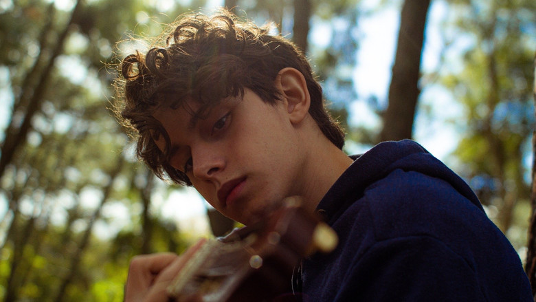 Sublime still 8