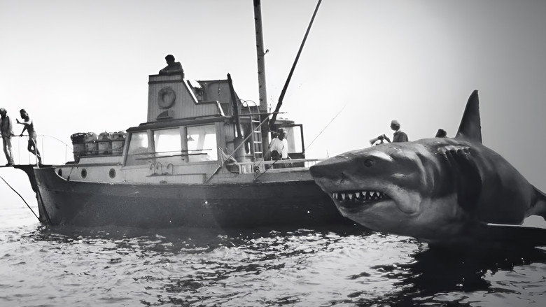 Jaws @ 50: The Definitive Inside Story still 2