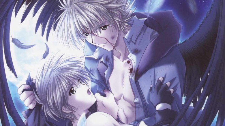 Angel's Feather still 1