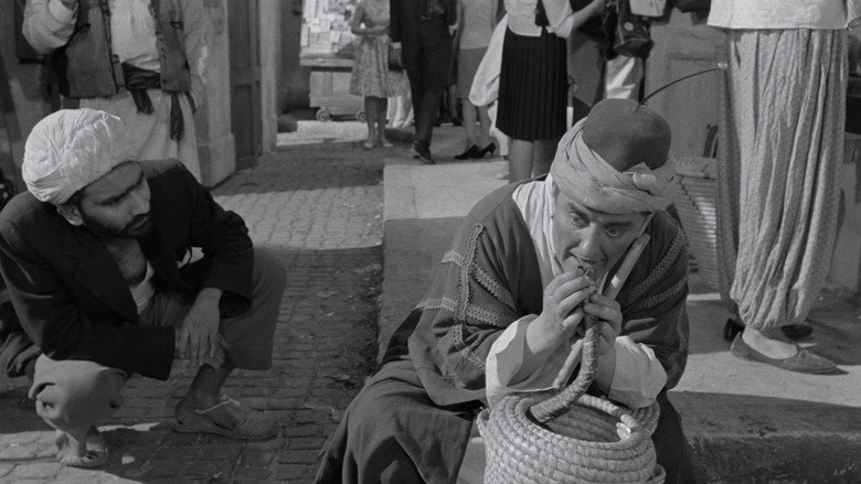Carry On Spying still 6