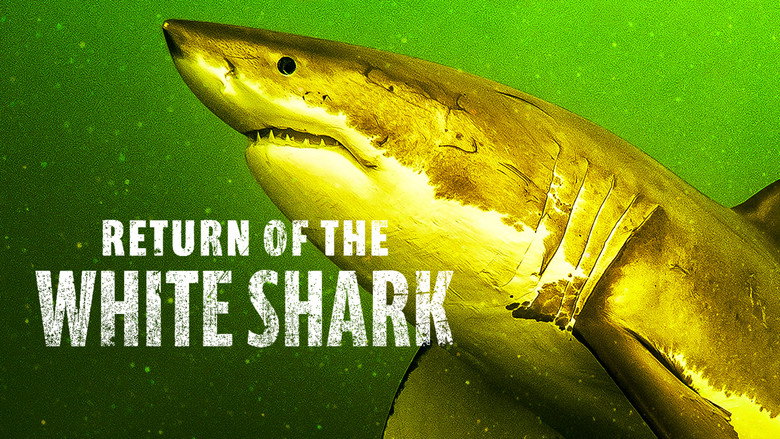 Return of the White Shark still 4
