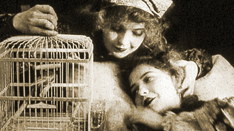 The Lady and the Mouse still 1