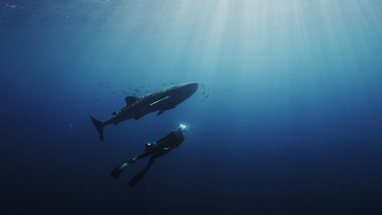 Swimming with Legends still 1