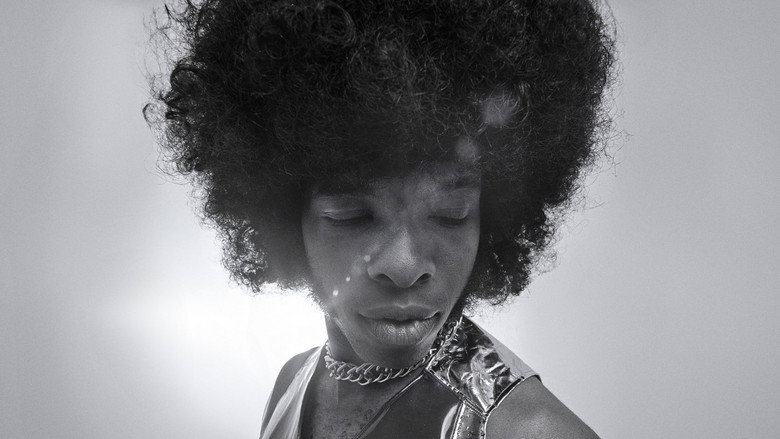 SLY LIVES! (aka The Burden of Black Genius) still 2