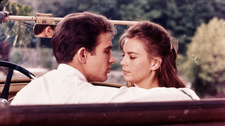 Splendor in the Grass still 2