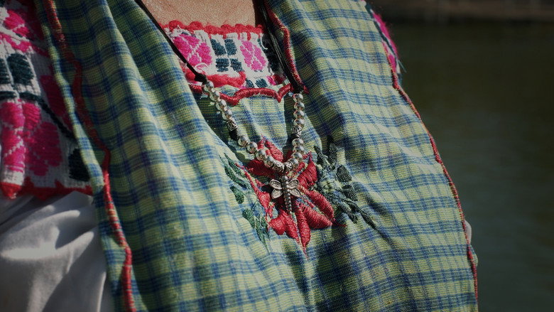 Dragonfly still 8