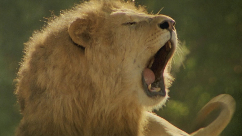Roar still 4