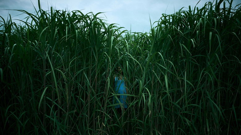 In the Tall Grass still 1