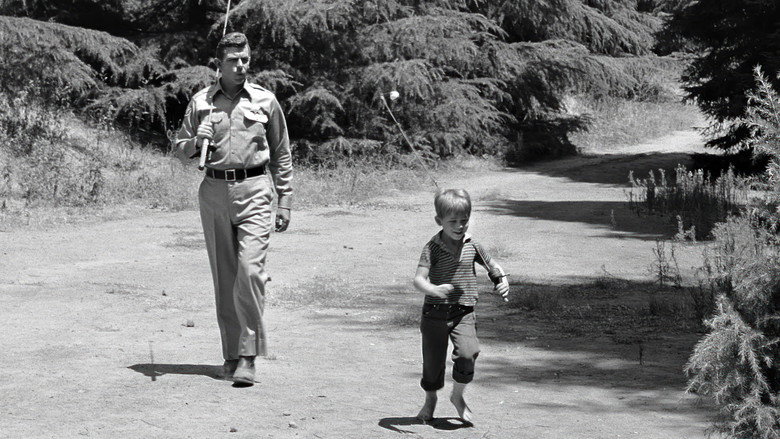 The Andy Griffith Show still 2