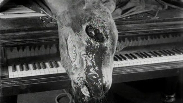 Un Chien Andalou still 8