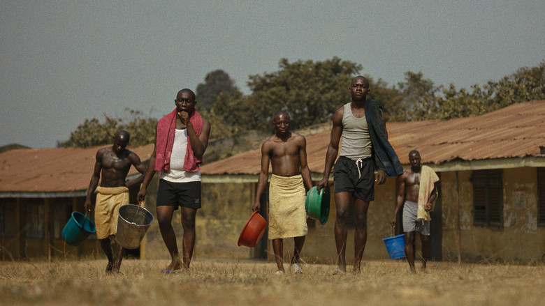 Harmattan still 2