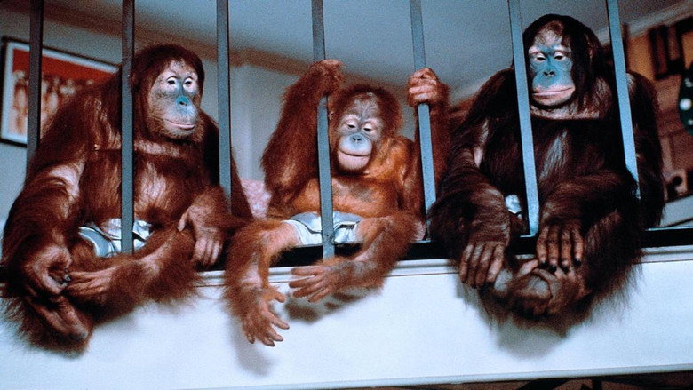 Going Ape! still 1