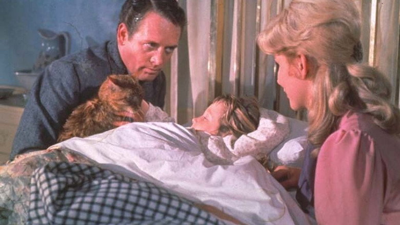 The Three Lives of Thomasina still 5