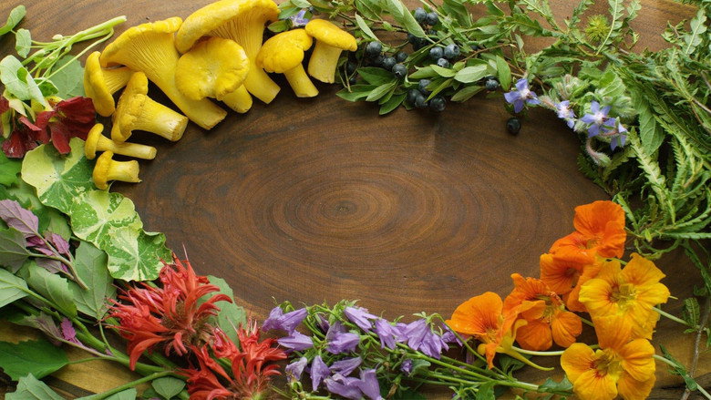 Field, Forest, Feast still 1