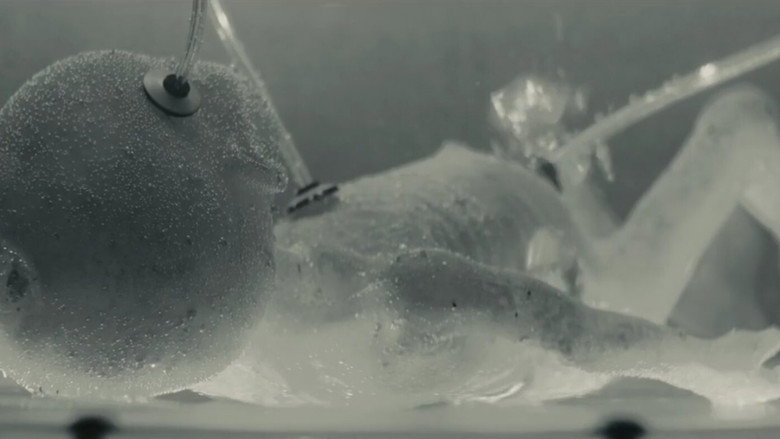 Alpha: Omega still 2