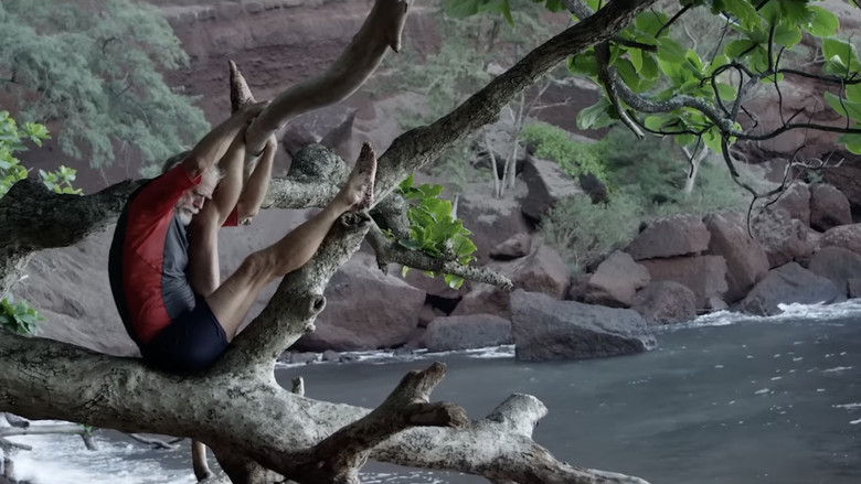 The Art of Life still 4