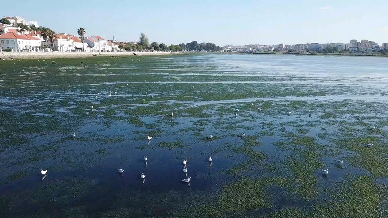 Mar Urbano Lisboa still 2