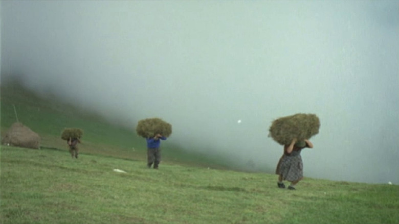 La montagna del sole still 1