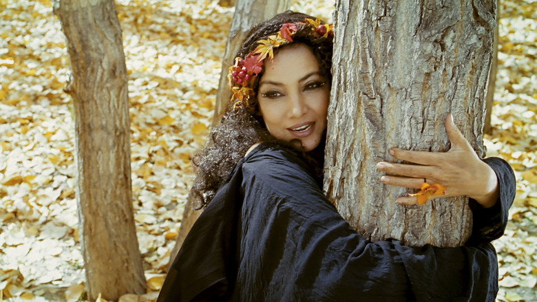 The Wishing Tree still 2