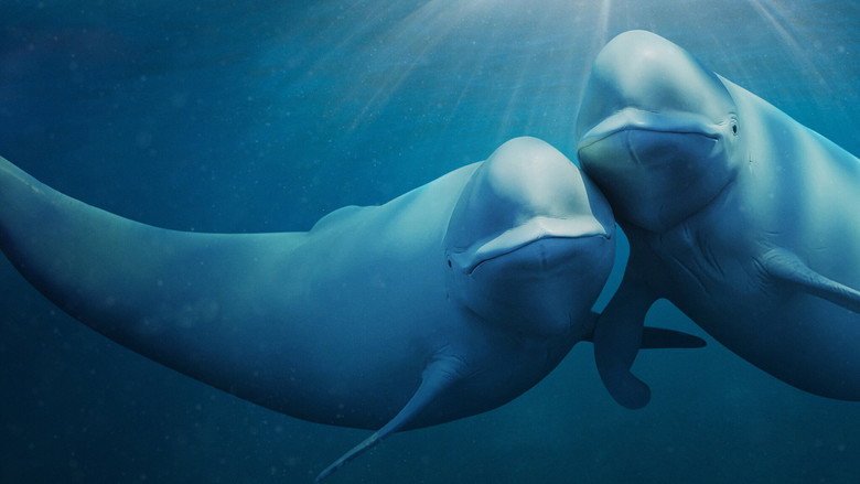 Our Oceans still 2