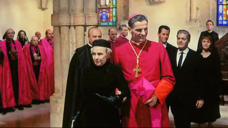 The Cardinal still 3