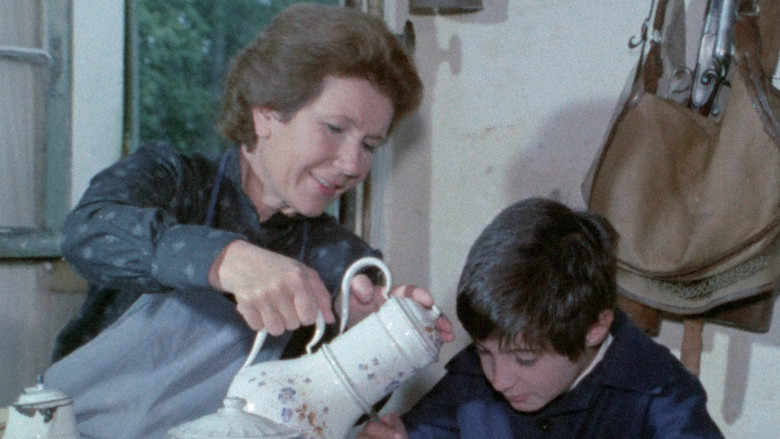 The House in the Woods still 7
