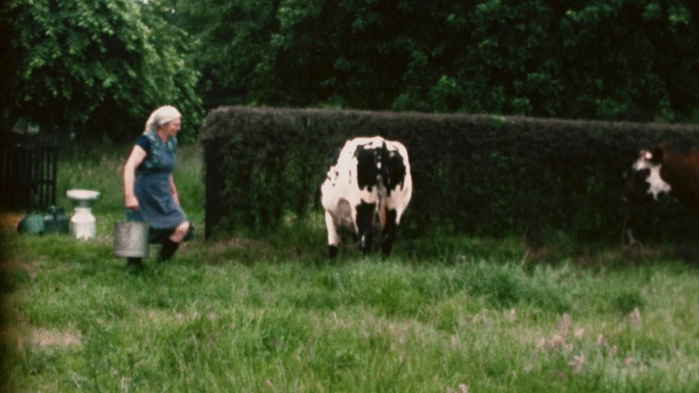 Mémé still 2