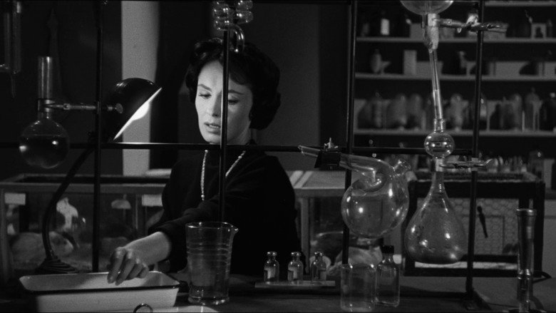 The Wasp Woman still 2