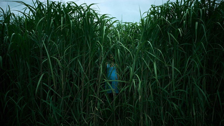 In the Tall Grass still 5