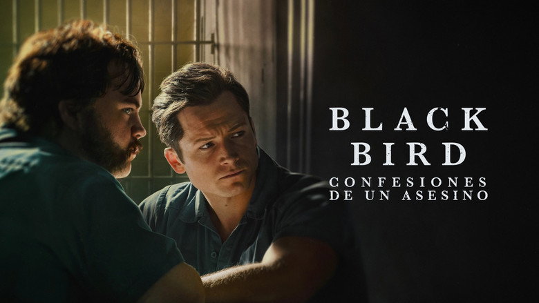 Black Bird still 4