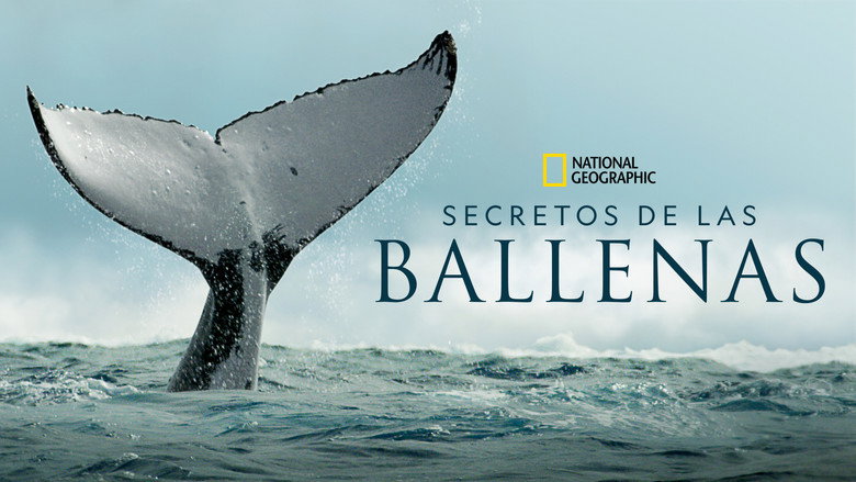 Secrets of the Whales still 8