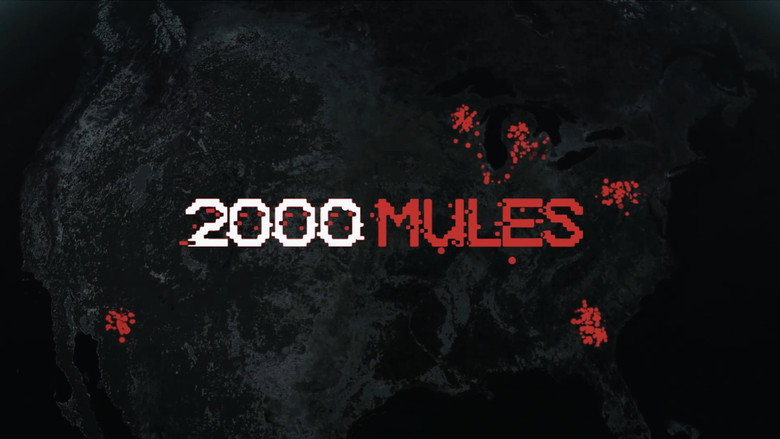2000 Mules still 4