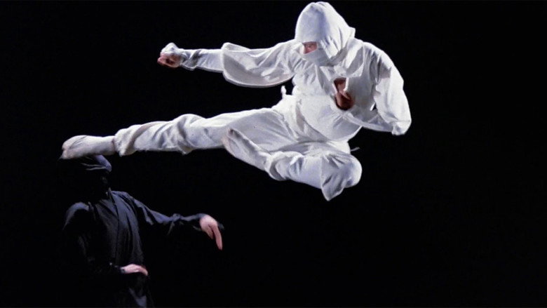 Enter the Ninja still 4