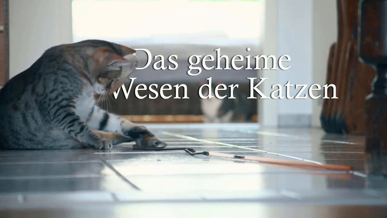 Das geheime Wesen der Katzen still 3