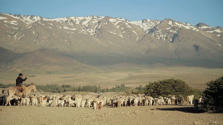 Transhumance still 1