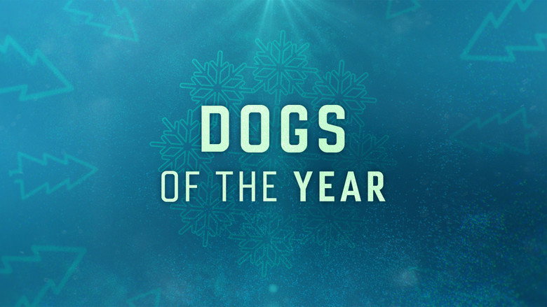 Dogs of the Year still 1