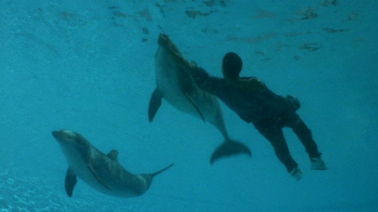 The Big Blue still 6