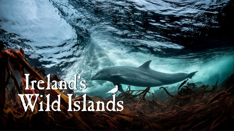 Ireland's Wild Islands still 1
