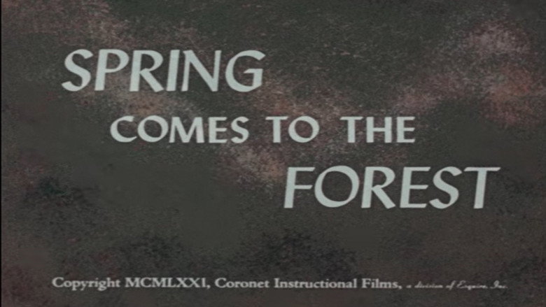Spring Comes to the Forest still 1