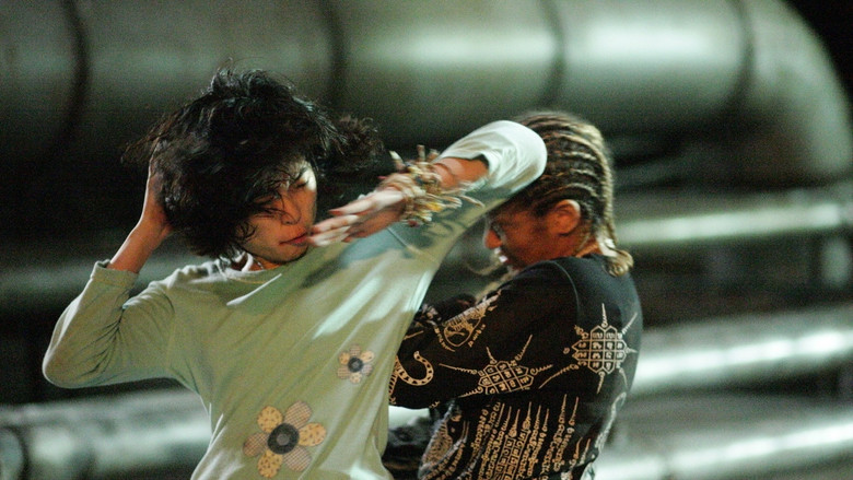Chocolate still 7