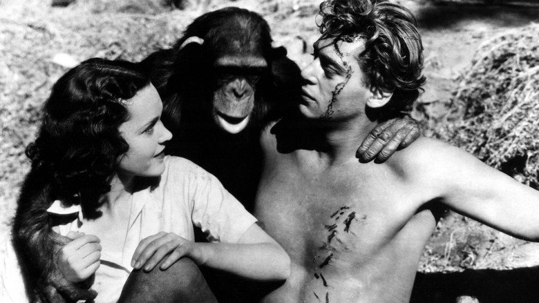 Tarzan the Ape Man still 7