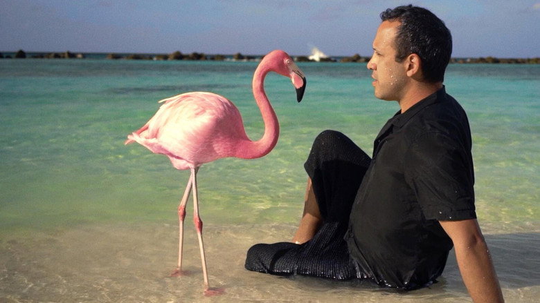 The Mystery of the Pink Flamingo still 1